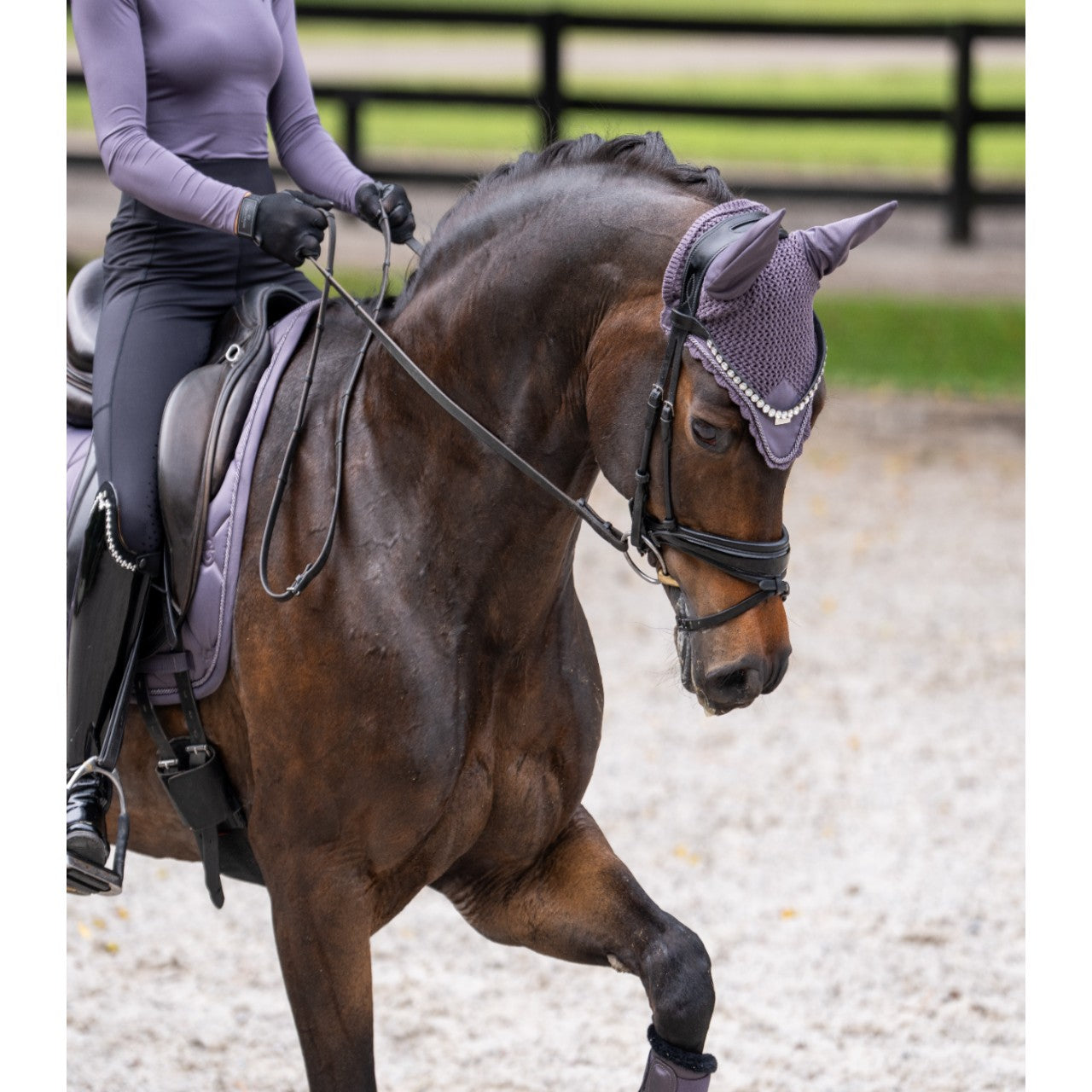 Fliegenhaube Dark Violet Fliegenmütze