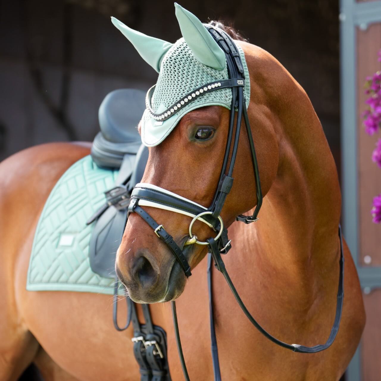 Equestrian Stockholm Fliegenhaube Mint Green Fliegenmütze, Mint Green, Pferd mit Fliegenhaube und Sattel in der Reitbahn.