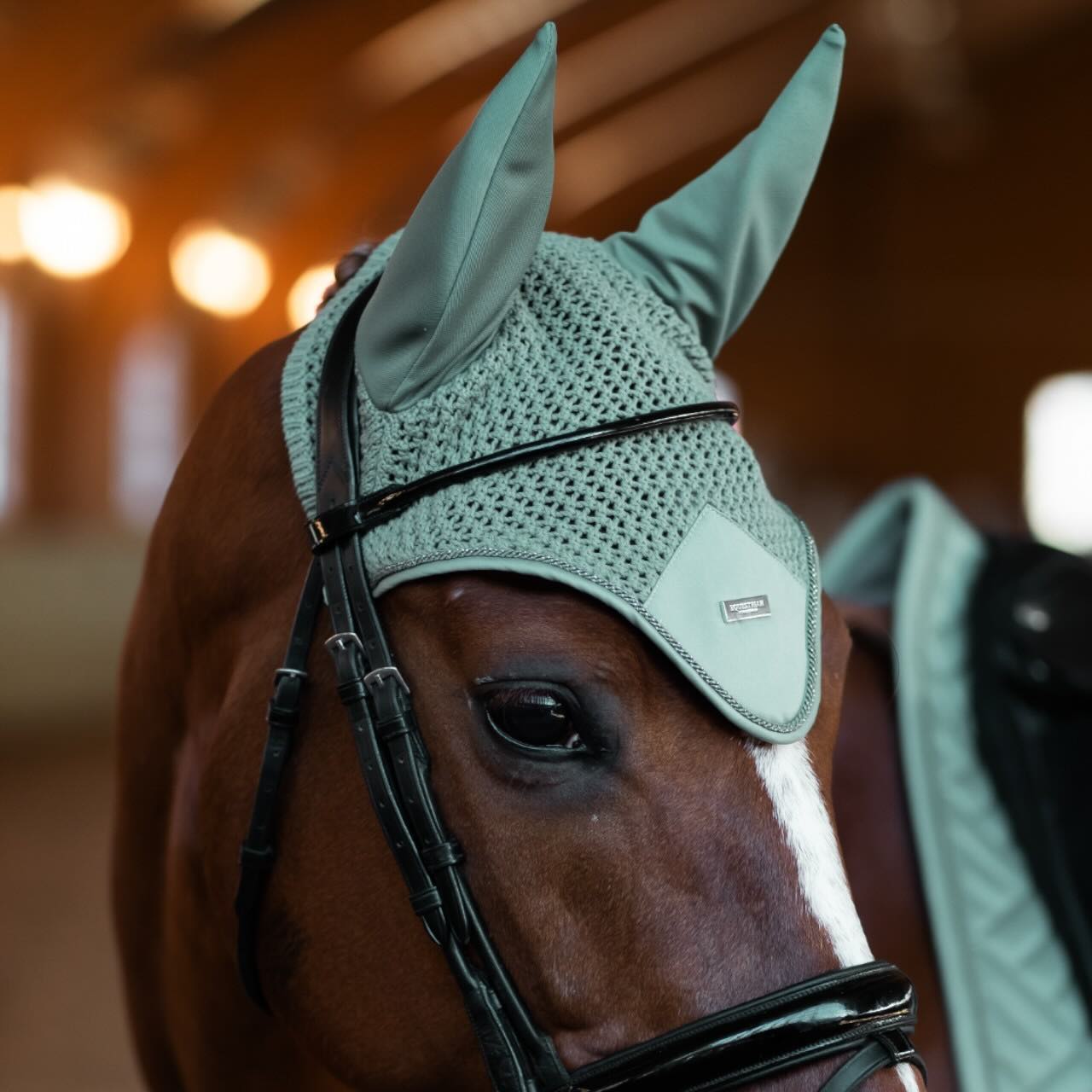 Equestrian Stockholm Fliegenhaube Mint Green Fliegenmütze, Mint Green, Pferd trägt die Fliegenhaube im Stall.