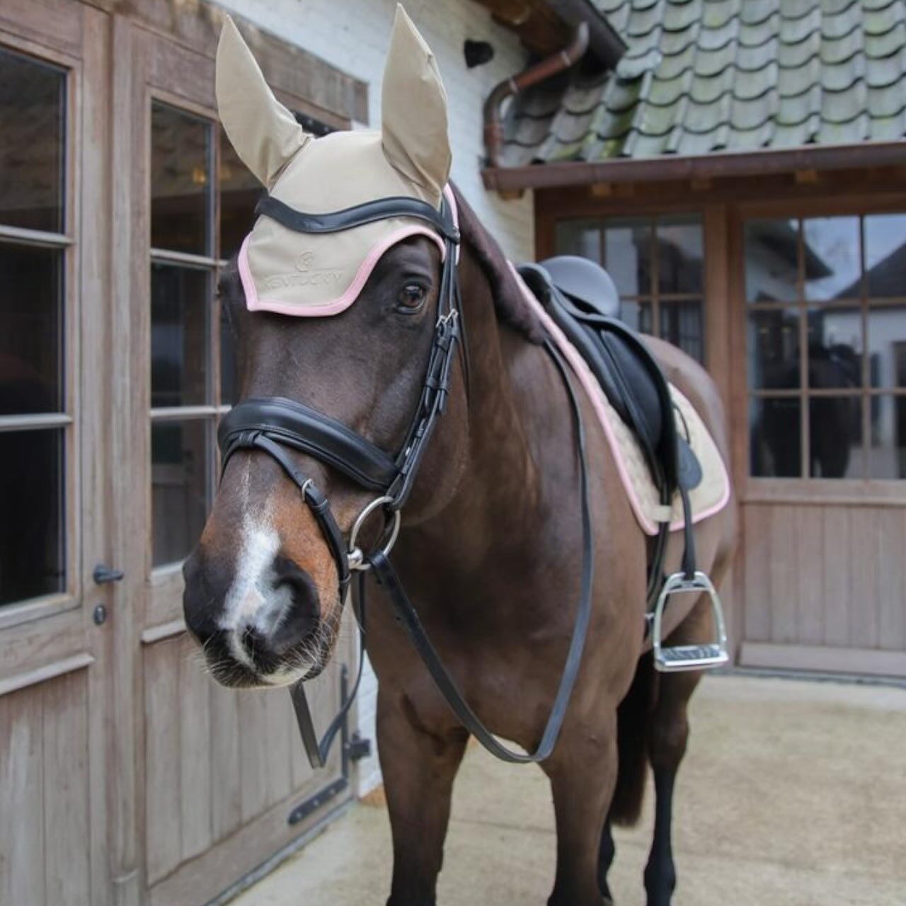 Fliegenhaube Wellington Softshell Fliegenmütze