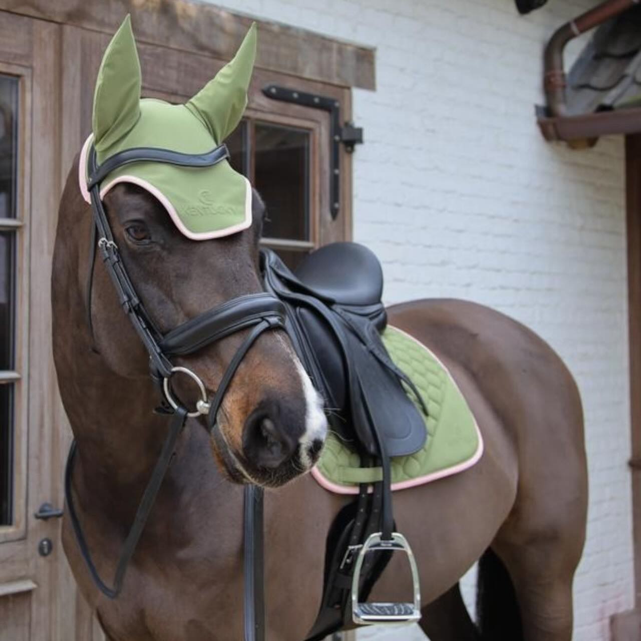 Fliegenhaube Wellington Softshell Fliegenmütze