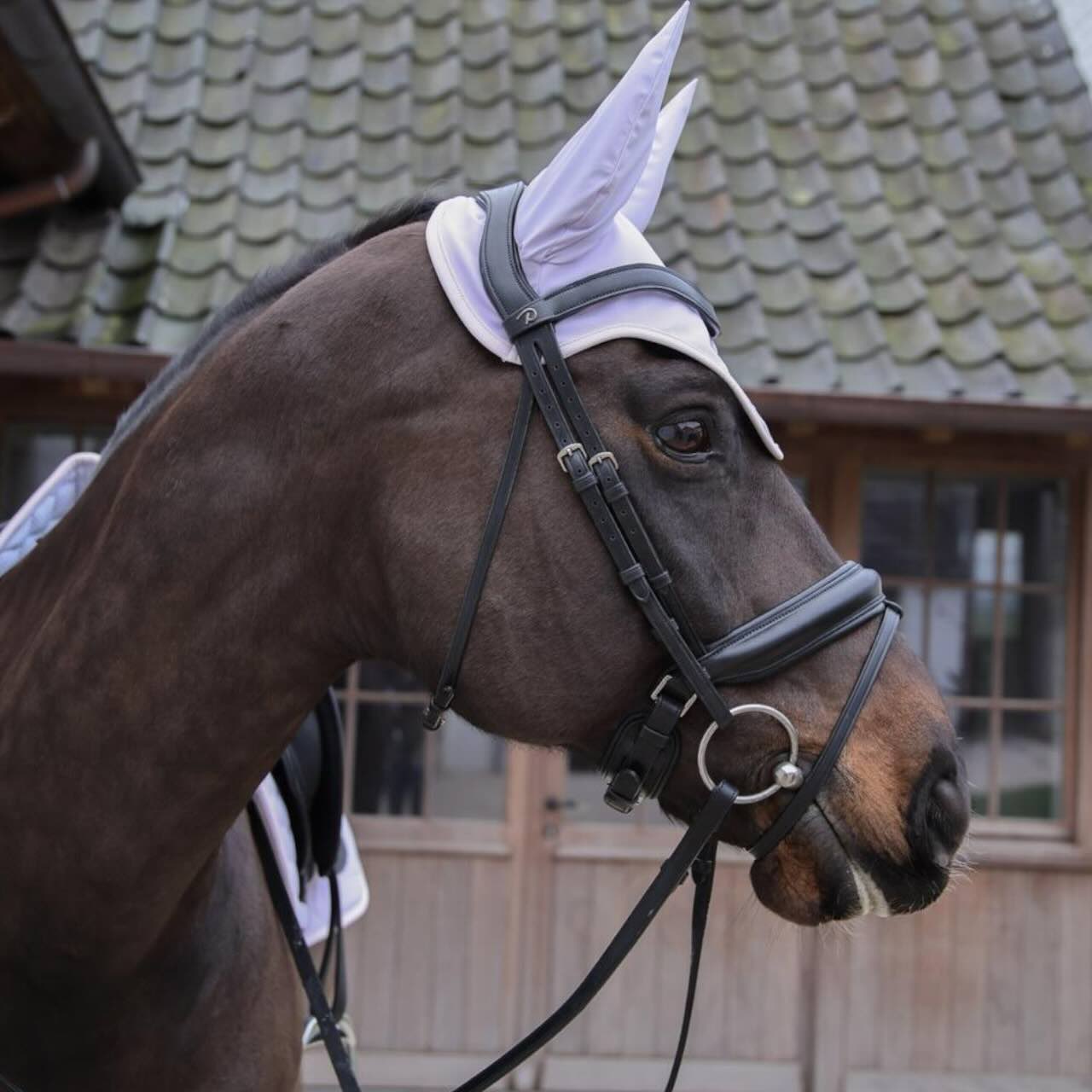 Fliegenhaube Wellington Softshell Soundless Fliegenmütze