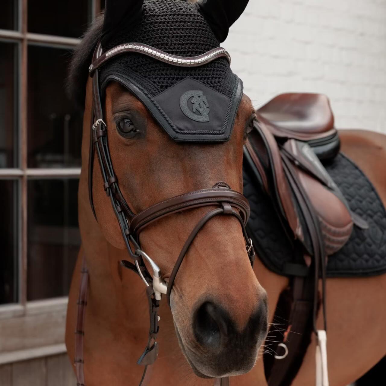 Fliegenhaube Wellington Sparkling Fliegenohren