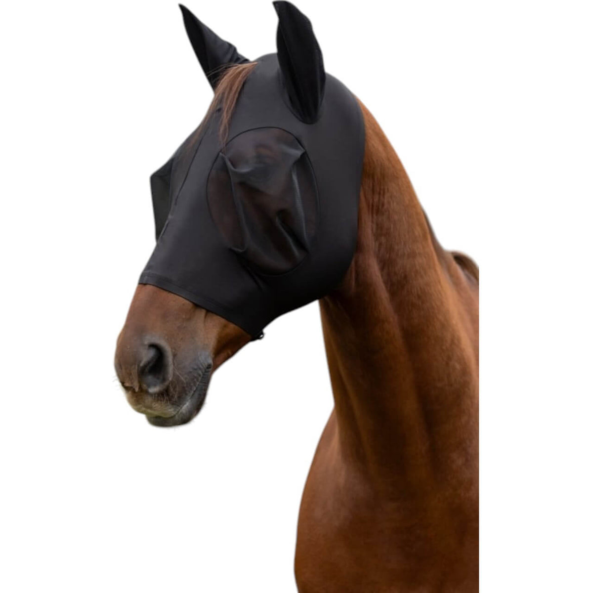Fliegenmaske FinoStretch Zipper Fliegenschutzmaske