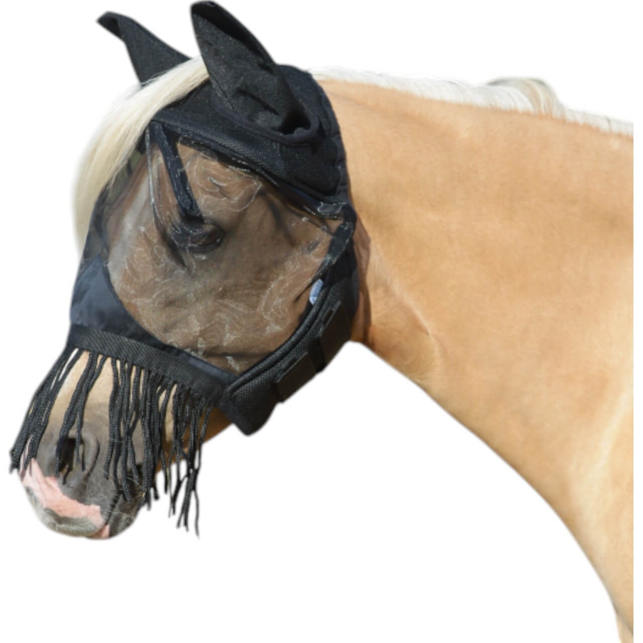 Fliegenmaske Fly Cover Fransen Gap II Fliegenhaube