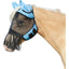 Light Blue/Black