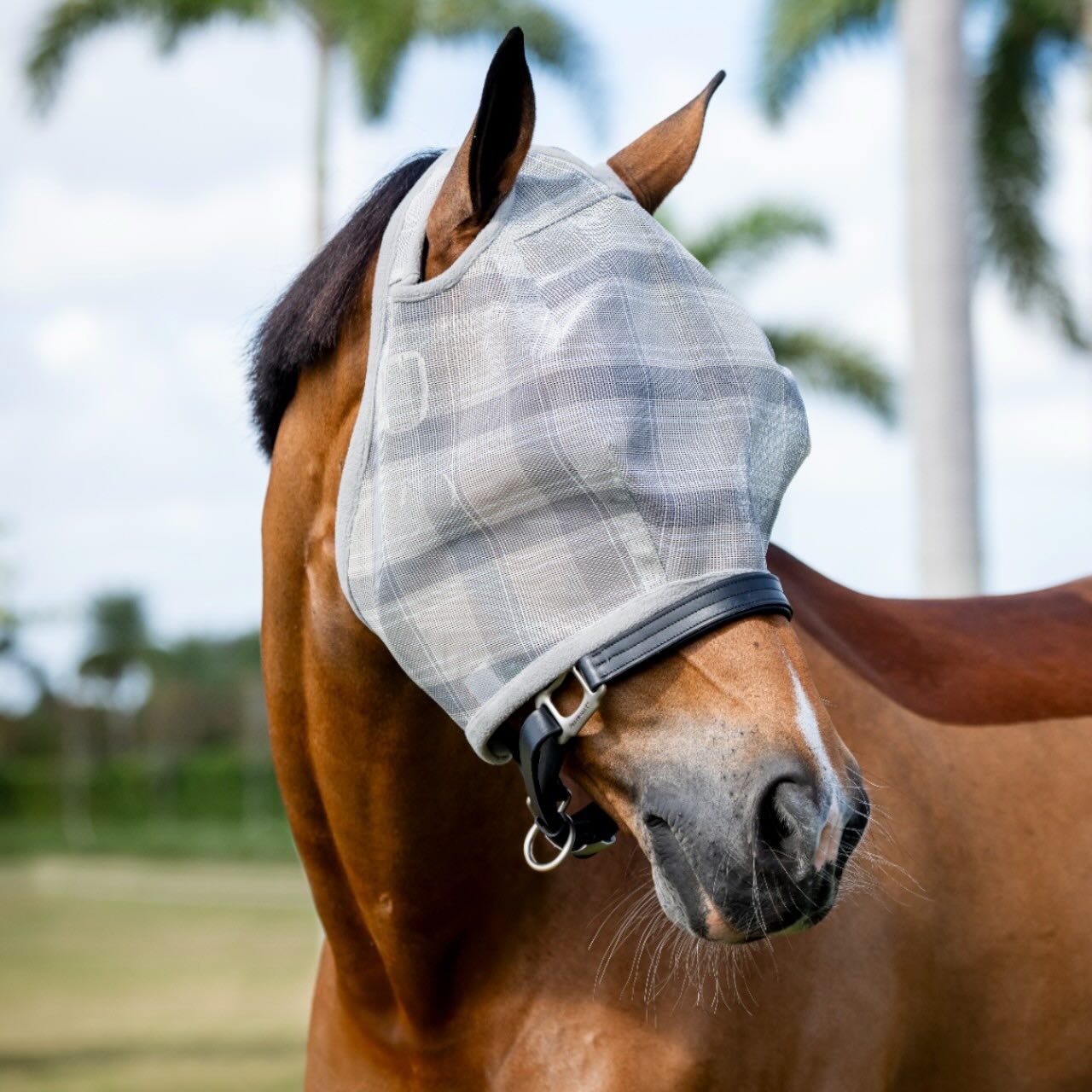Fliegenmaske Newmarket No Ears Fly Mask