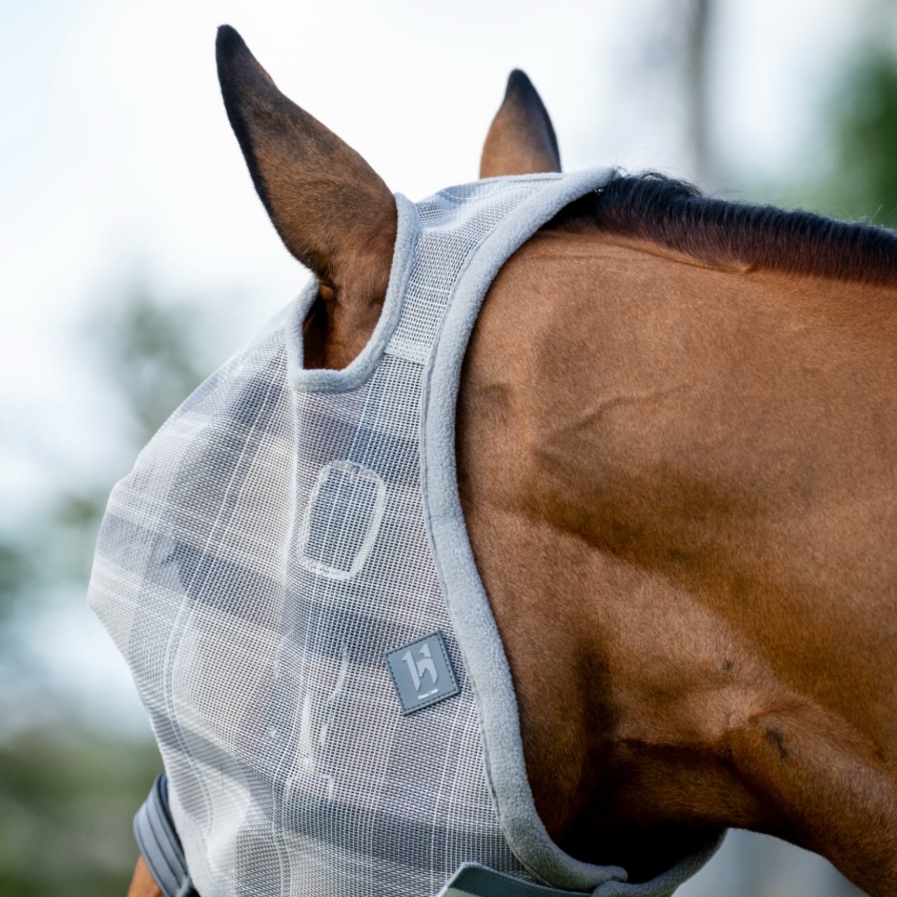 Fliegenmaske Newmarket No Ears Fly Mask