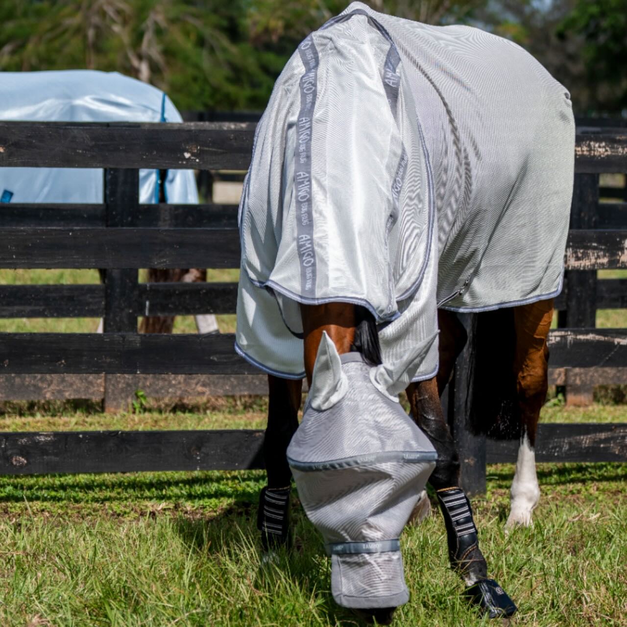 Fliegenmaske Rambo Flymask Plus