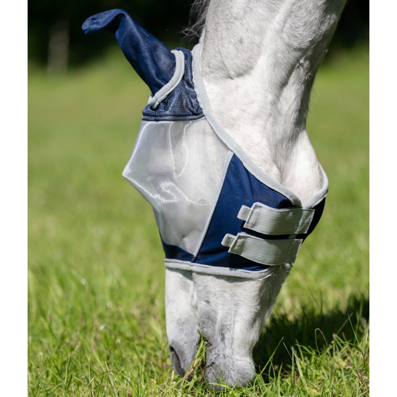 Fliegenmaske Shield Fly Mask