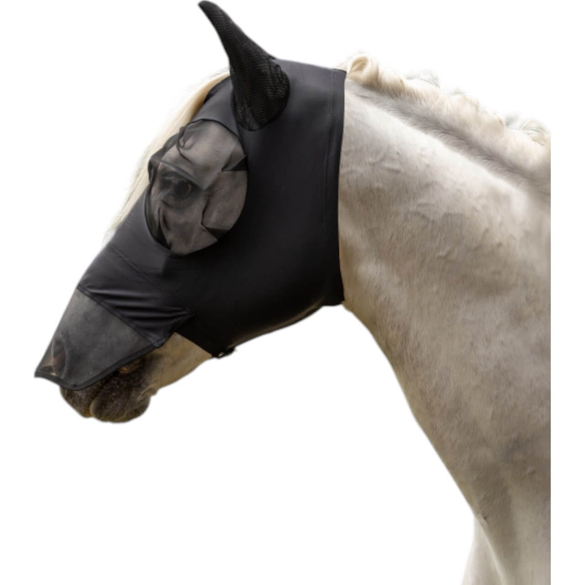 Schwarz