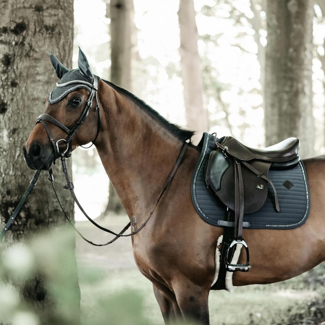 Fliegenmütze Wellington Stone & Pearl Fliegenhaube