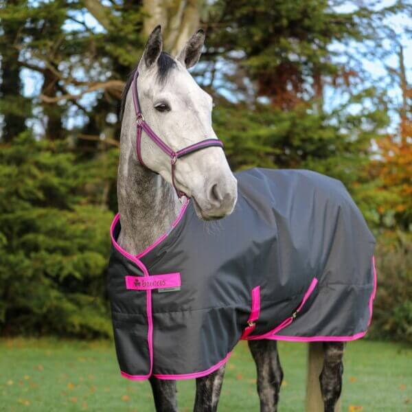 Stalldecke 300g Freedom Stable 300