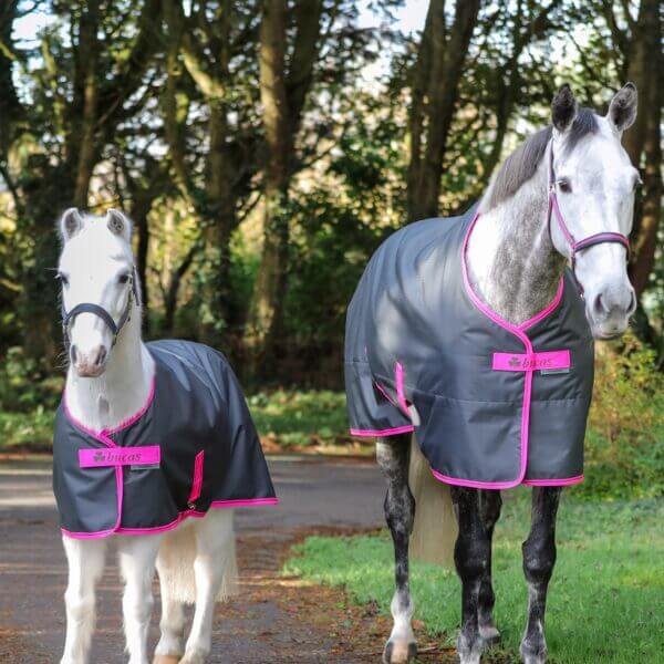 Bucas Stalldecke 300g Freedom Stable 300, Grau Pink, zwei Pferde tragen die Decke im Freien.