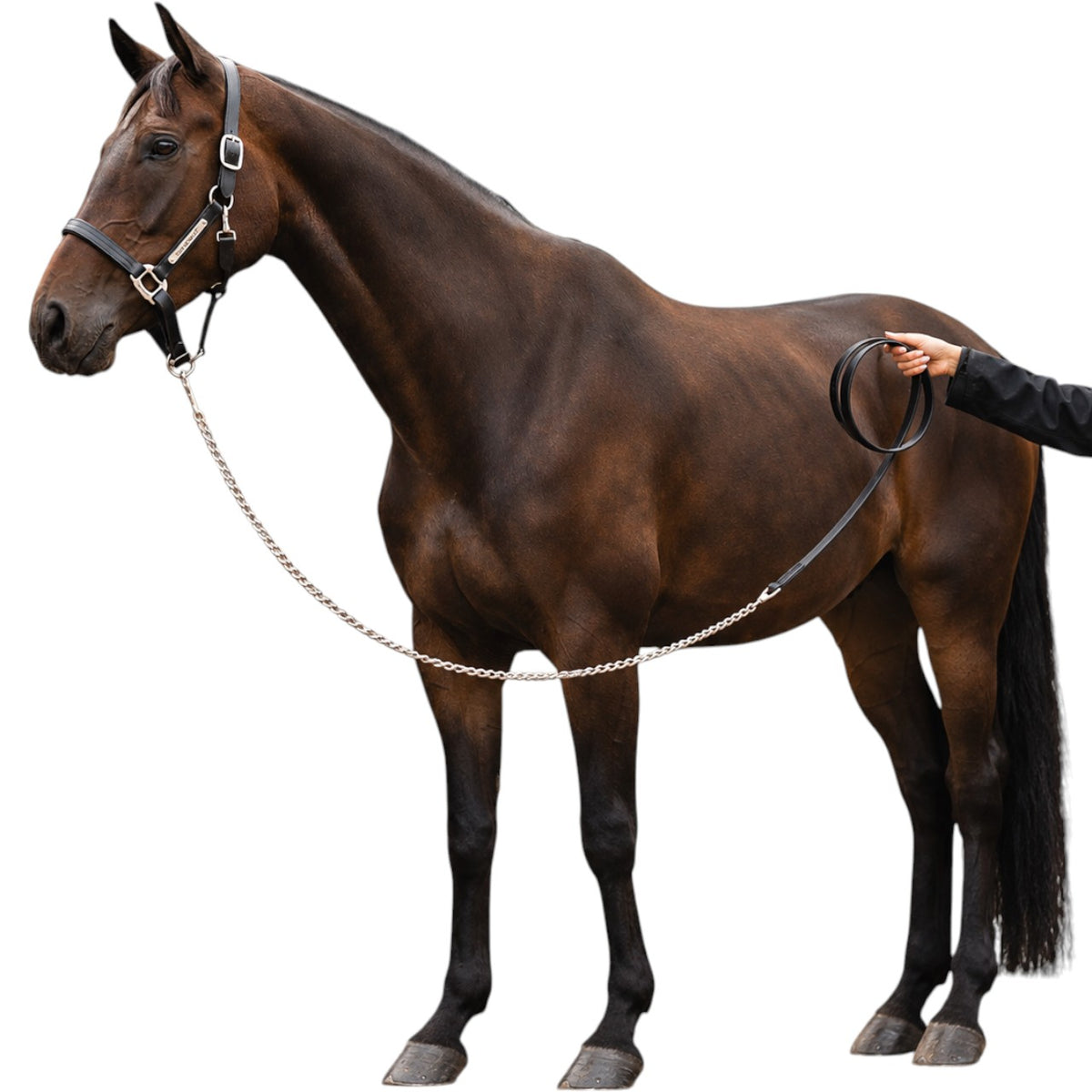 Führkette Horseware Leder