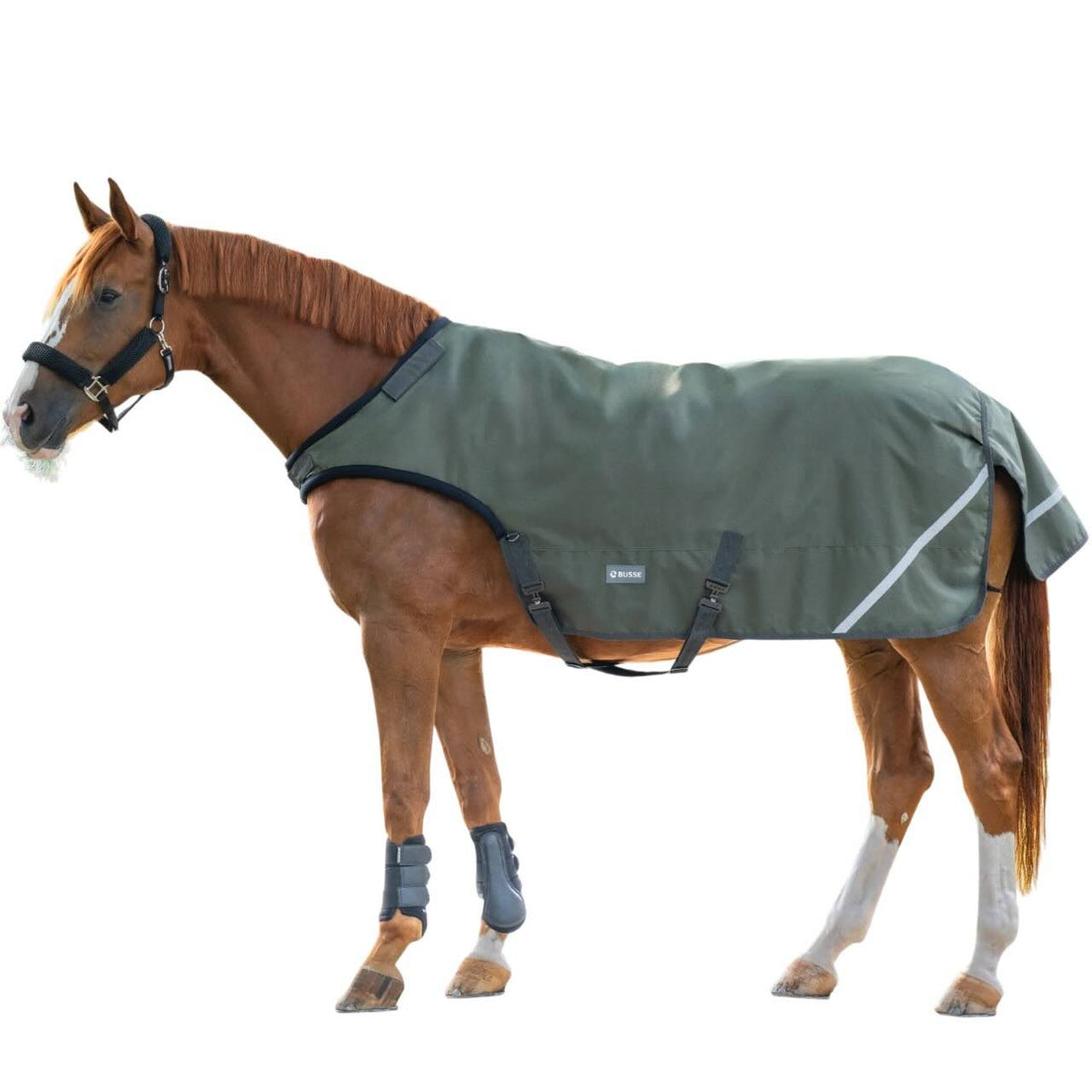 Busse Führanlagendecke Rain 50g Decke, Deep Olive, Pferd trägt die Decke in der Führanlage.