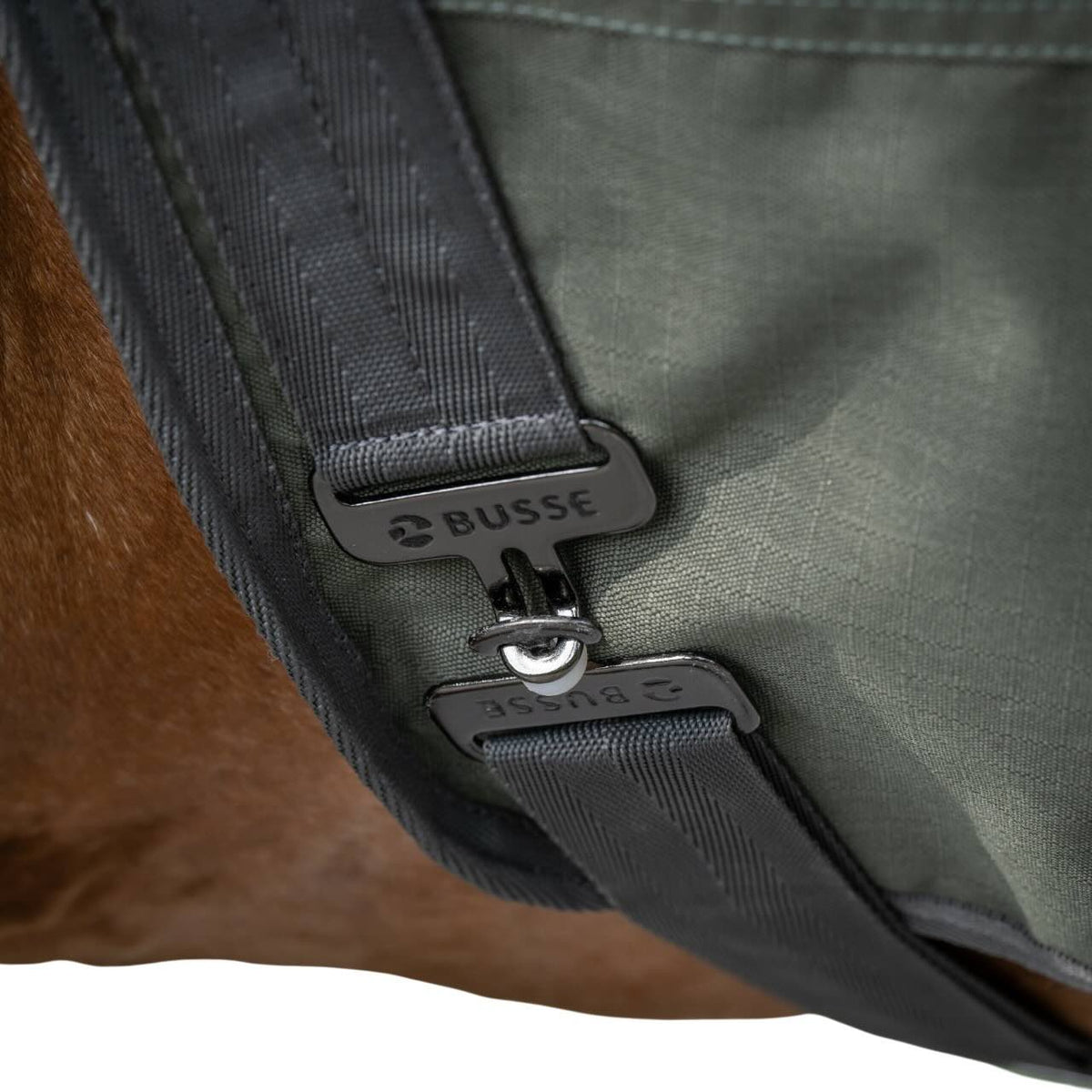 Busse Führanlagendecke Rain 50g Decke, Grün, Detailaufnahme an Pferd.