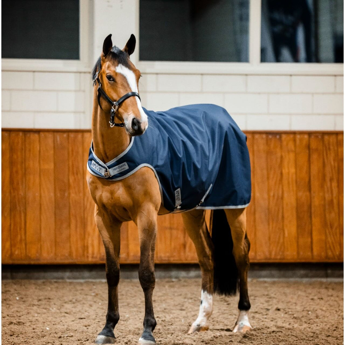 Horseware Ireland Führanlagendecke Amigo 100g Ripstop 900D Walker Rug, Midsummer Blue, Pferd in der Reithalle.