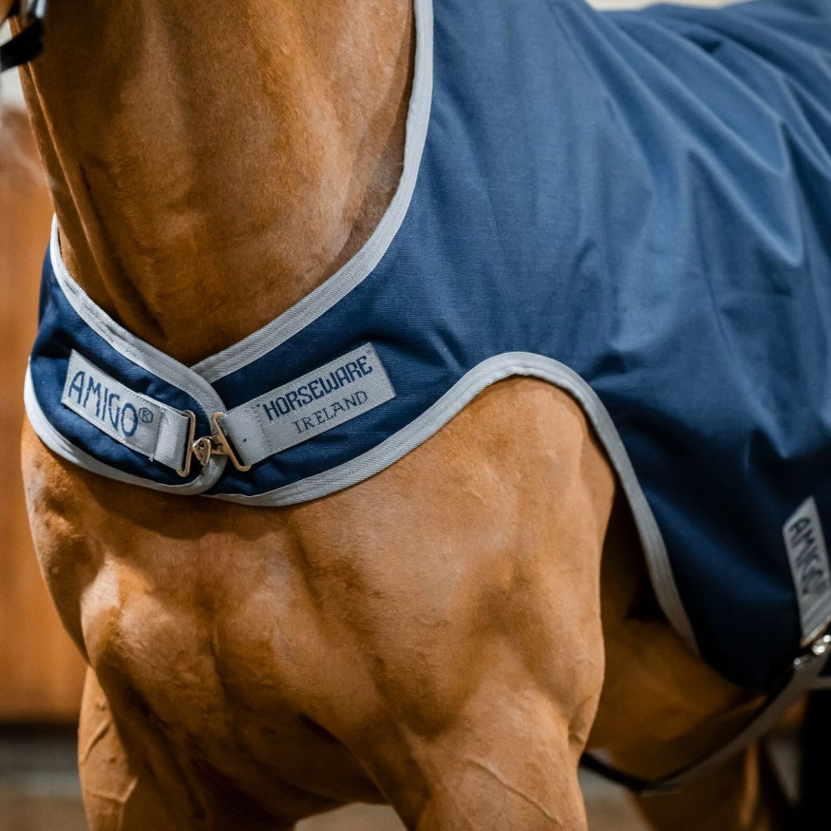 Horseware Ireland Führanlagendecke Amigo 100g Ripstop 900D Walker Rug, Midsummer Blue, Pferd trägt die Führanlagendecke.