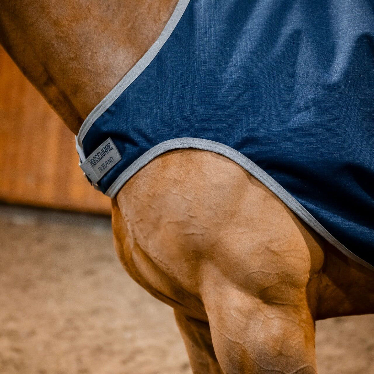 Horseware Ireland Führanlagendecke Amigo 100g Ripstop 900D Walker Rug, Blau, Detailaufnahme am Pferd.