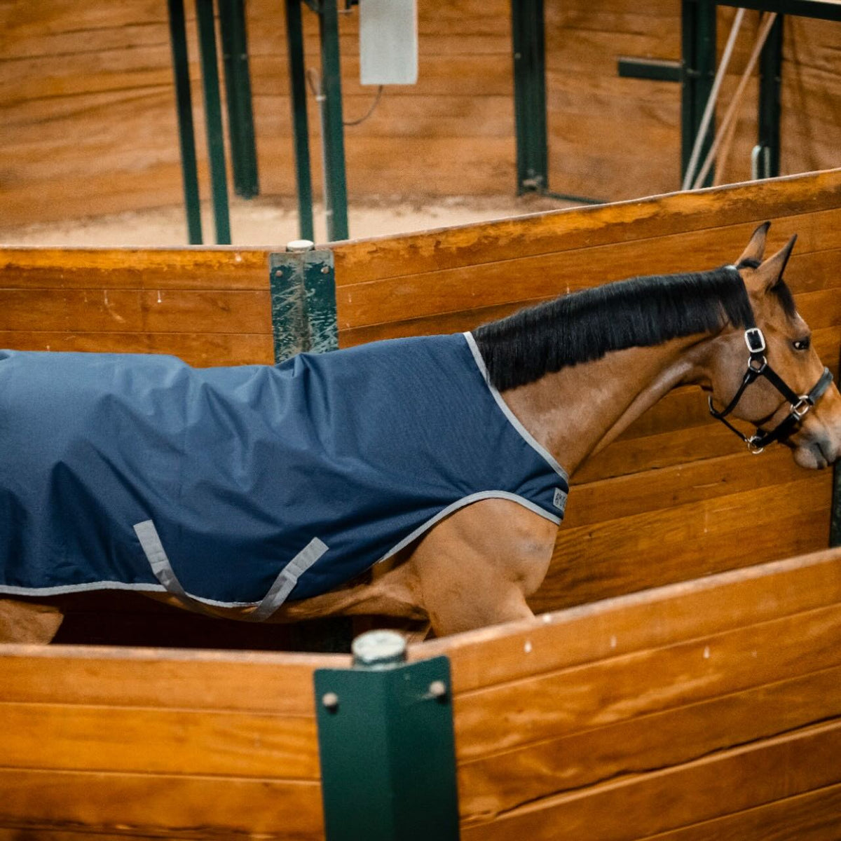 Horseware Ireland Führanlagendecke Amigo 100g Ripstop 900D Walker Rug, Blau, Pferd in der Führanlage.