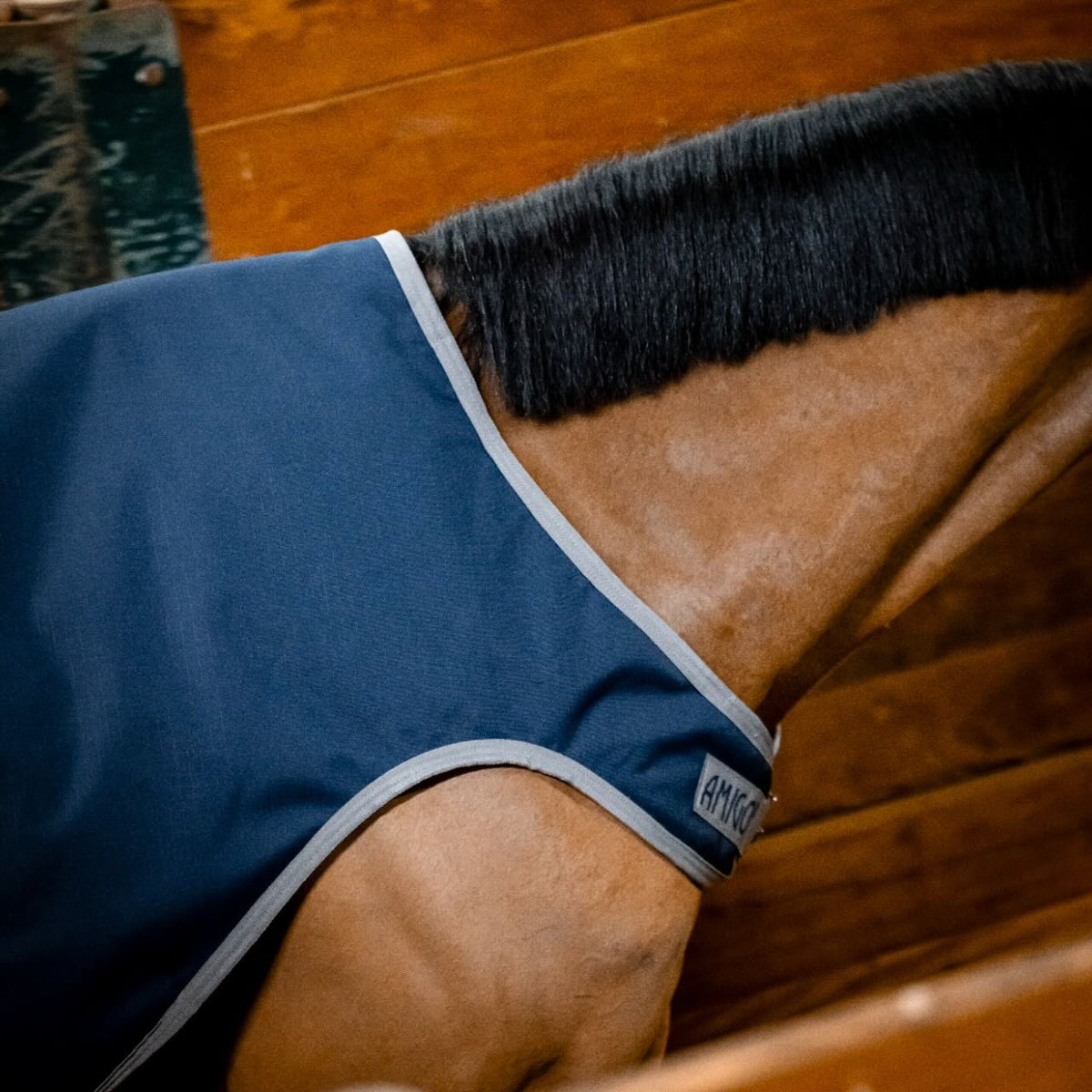 Horseware Ireland Führanlagendecke Amigo 100g Ripstop 900D Walker Rug, Midsummer Blue, Pferd trägt die Decke.