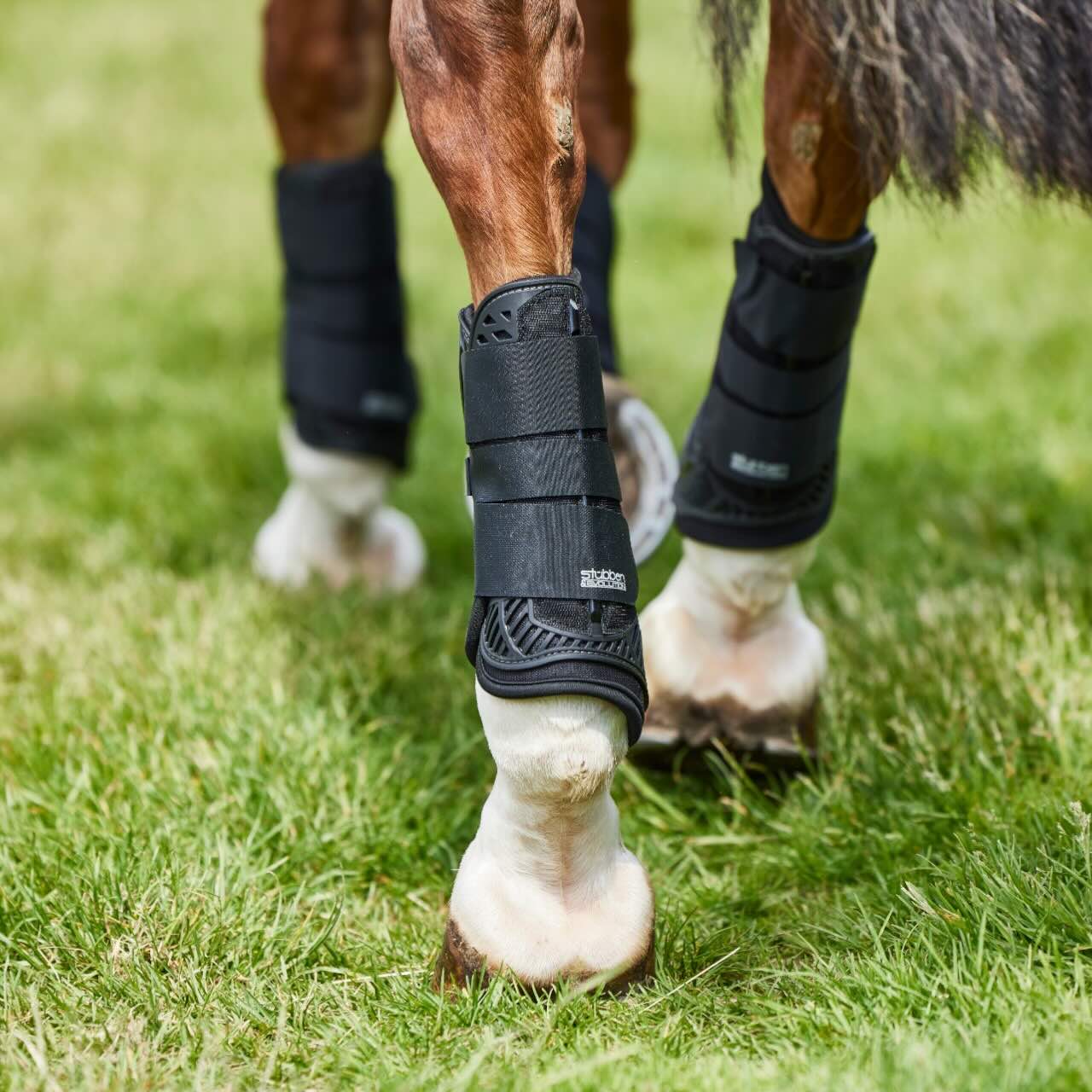 Gamaschen Hybrid XC Vorderbeine