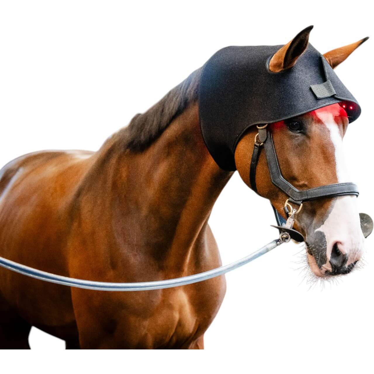 Genickhaube für LED-Rotlicht-Therapie Haube