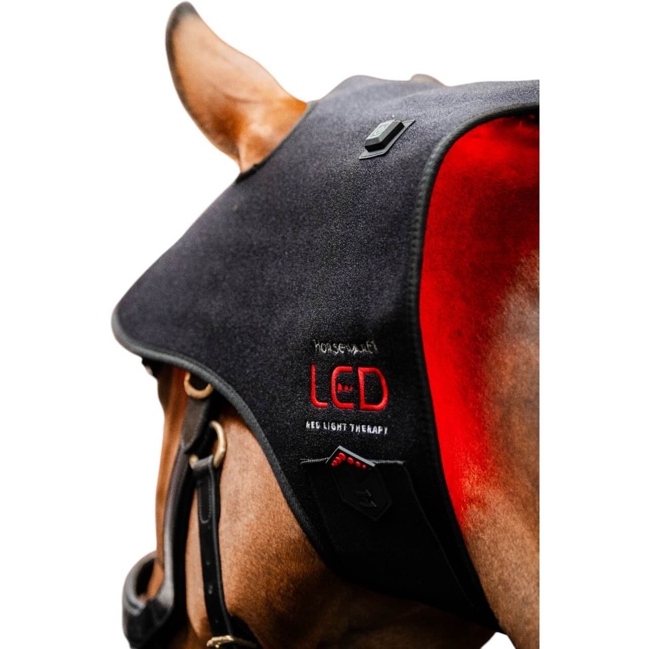 Genickhaube für LED-Rotlicht-Therapie Haube