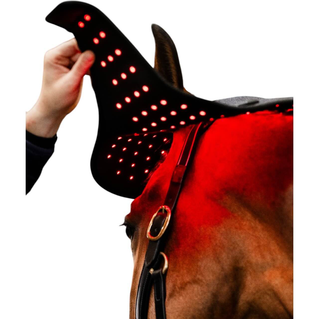 Genickhaube für LED-Rotlicht-Therapie Haube