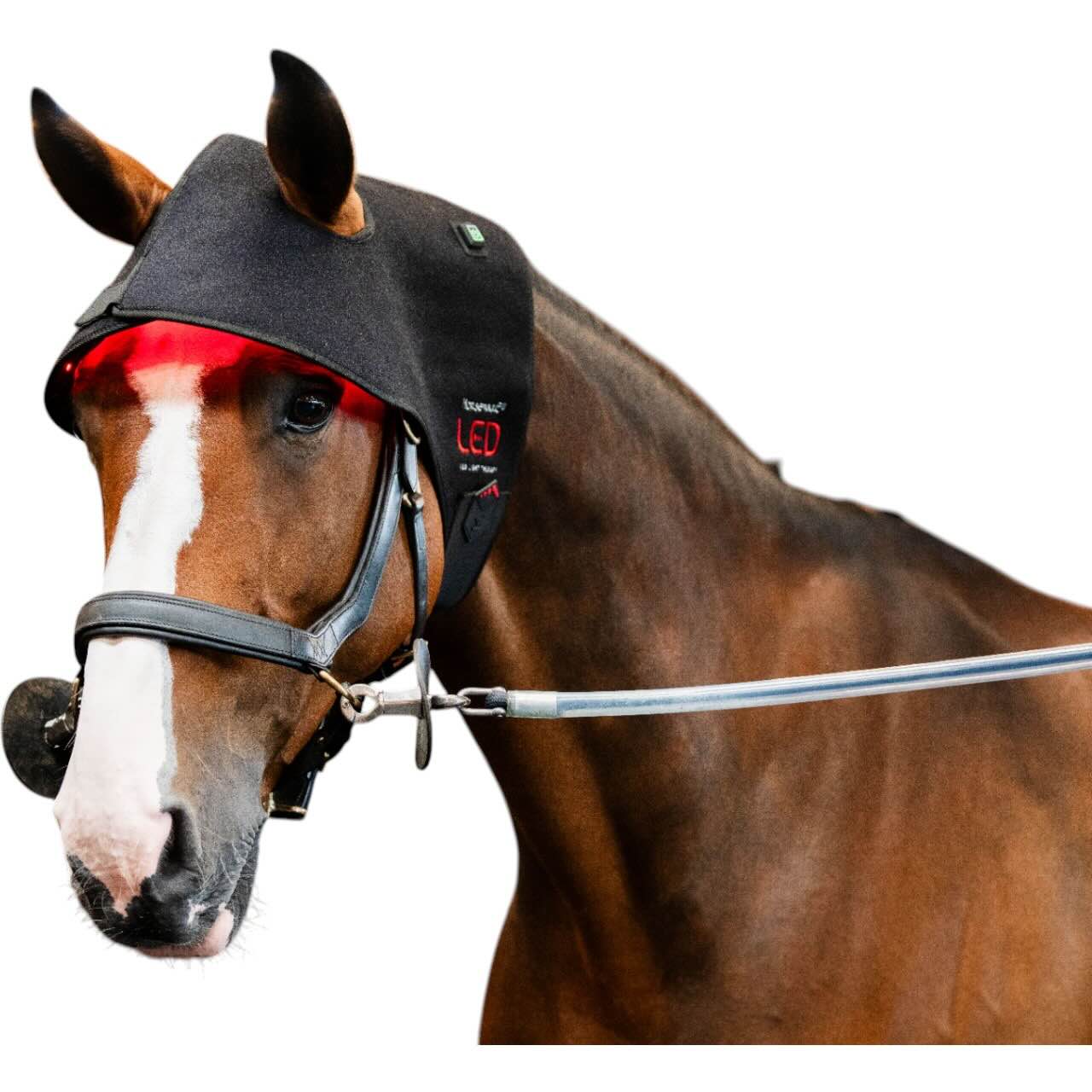 Genickhaube für LED-Rotlicht-Therapie Haube