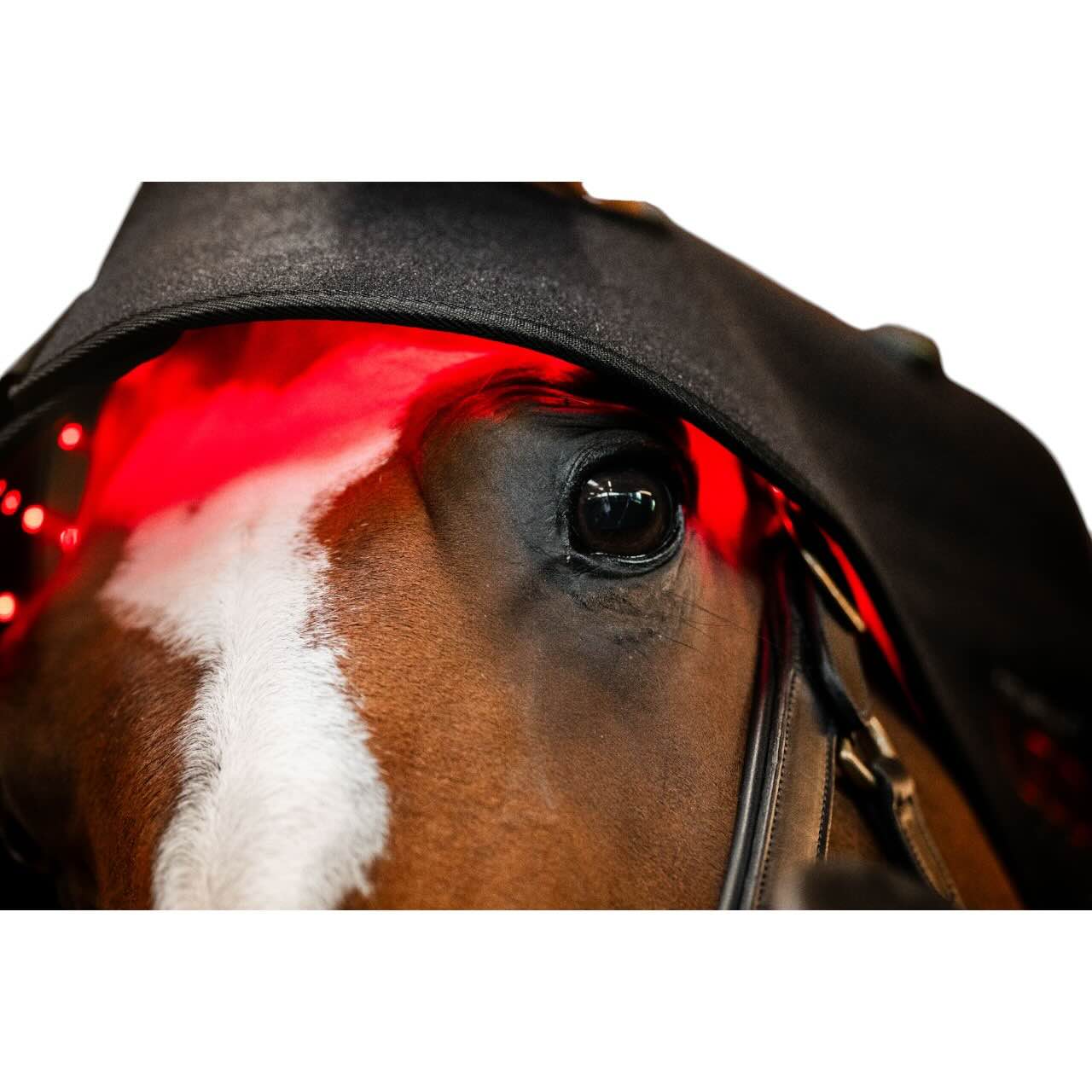 Genickhaube für LED-Rotlicht-Therapie Haube