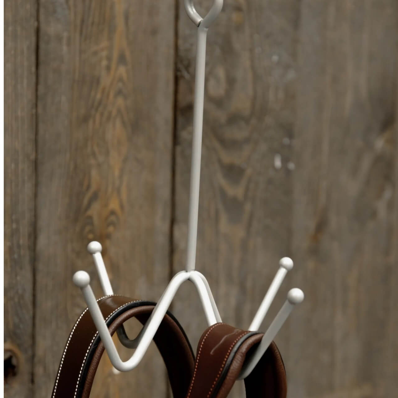Trensenhalter mit 4 Haken Wandbefestigung