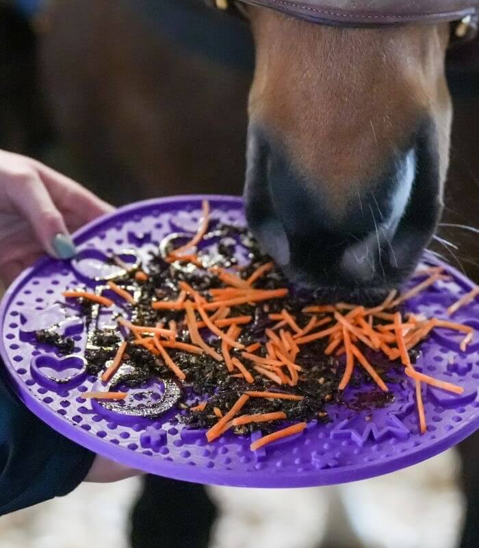 Paste für Graze Maze Beschäftigungsmatte