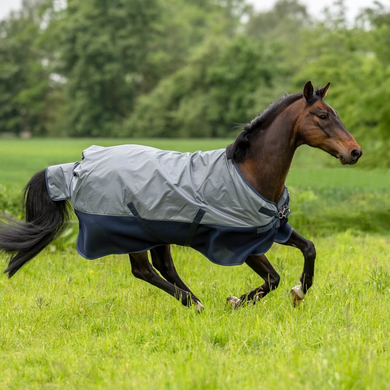 Outdoordecke 0g 3D Air Rain Regendecke