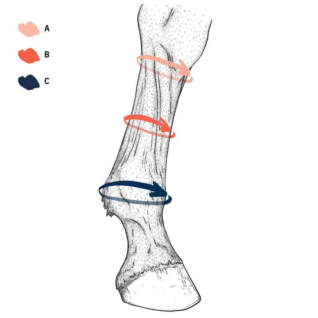 Kompressionsstrümpfe EQUI Compress Set Vorderbeine