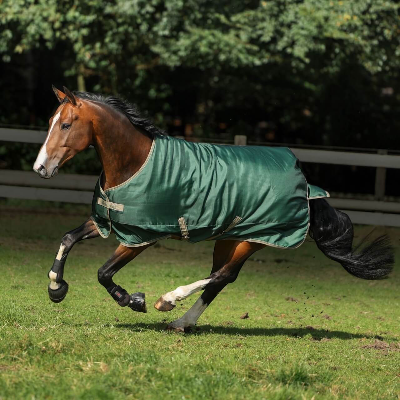 Outdoordecke 0g Freedom Turnout Light Regendecke