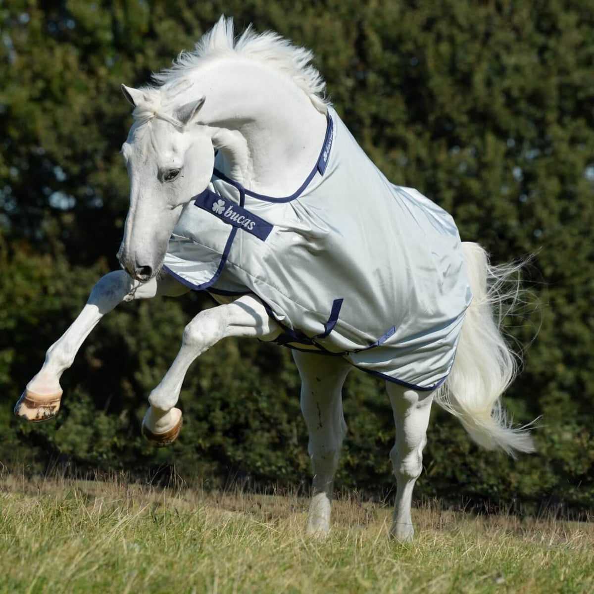 Outdoordecke 0g Power Turnout Light Big Neck Regendecke