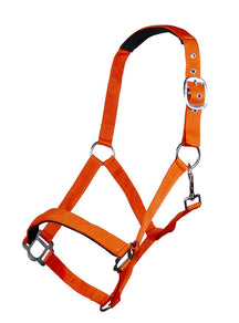 Neon Orange