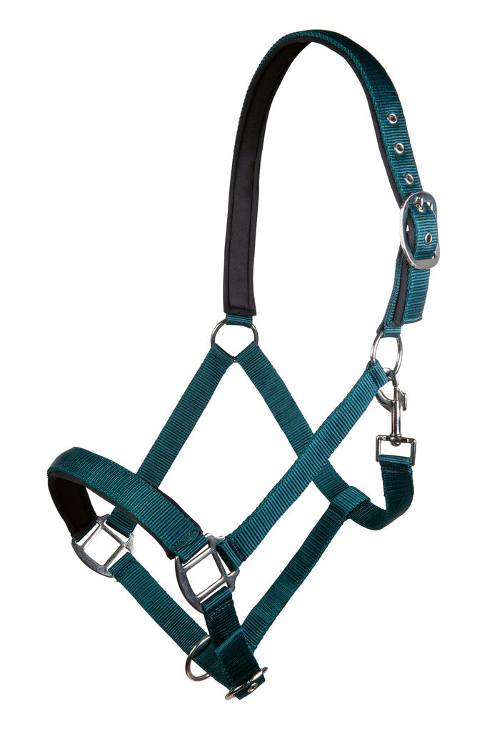 Nylon halsters Charming stalhalster