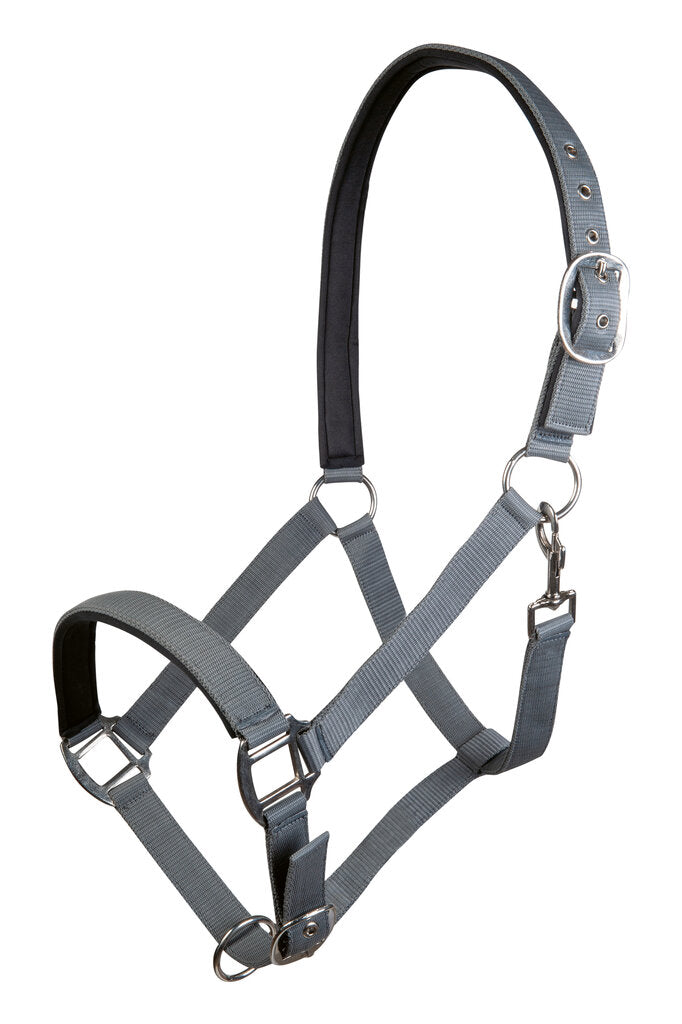 Nylon halsters Charming stalhalster