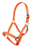 Neon Orange