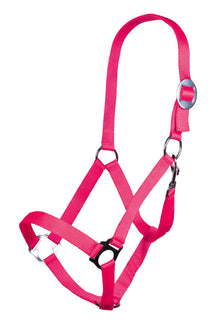 Neon Pink