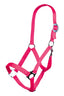 Neon Pink