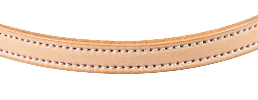 Sidepull bridle, bitless, with rawhide, western accessories