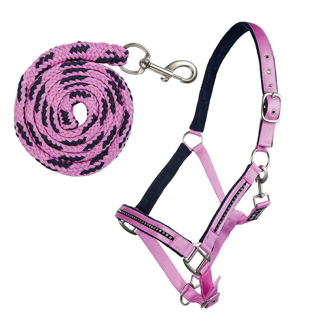 Nylonhalfter-Set Crystal mit Karabinerstrick Stallhalfter