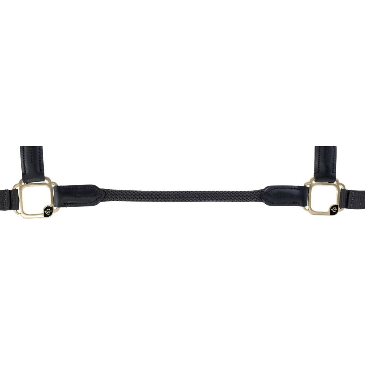 Halfter Anniversary Kollektion 2025 Nylonhalfter