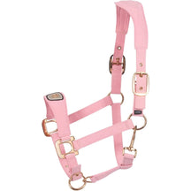 Powder Pink