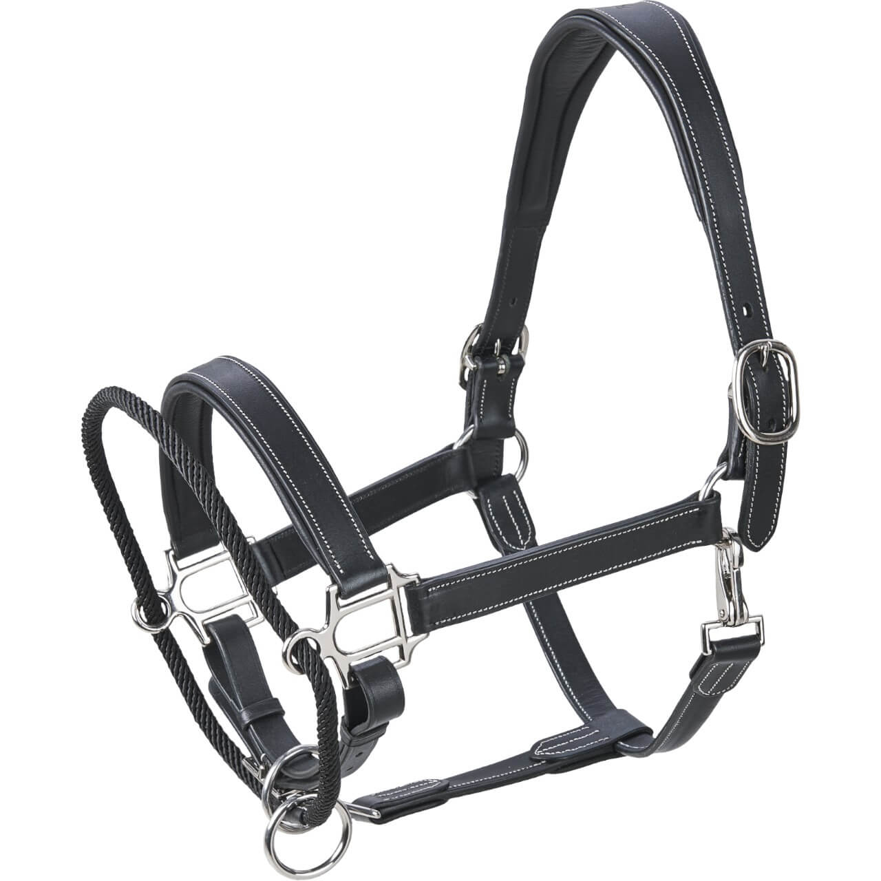 Busse Halfter Easy-Correct Lederhalfter, Schwarz, Produkt allein auf weißem Hintergrund.