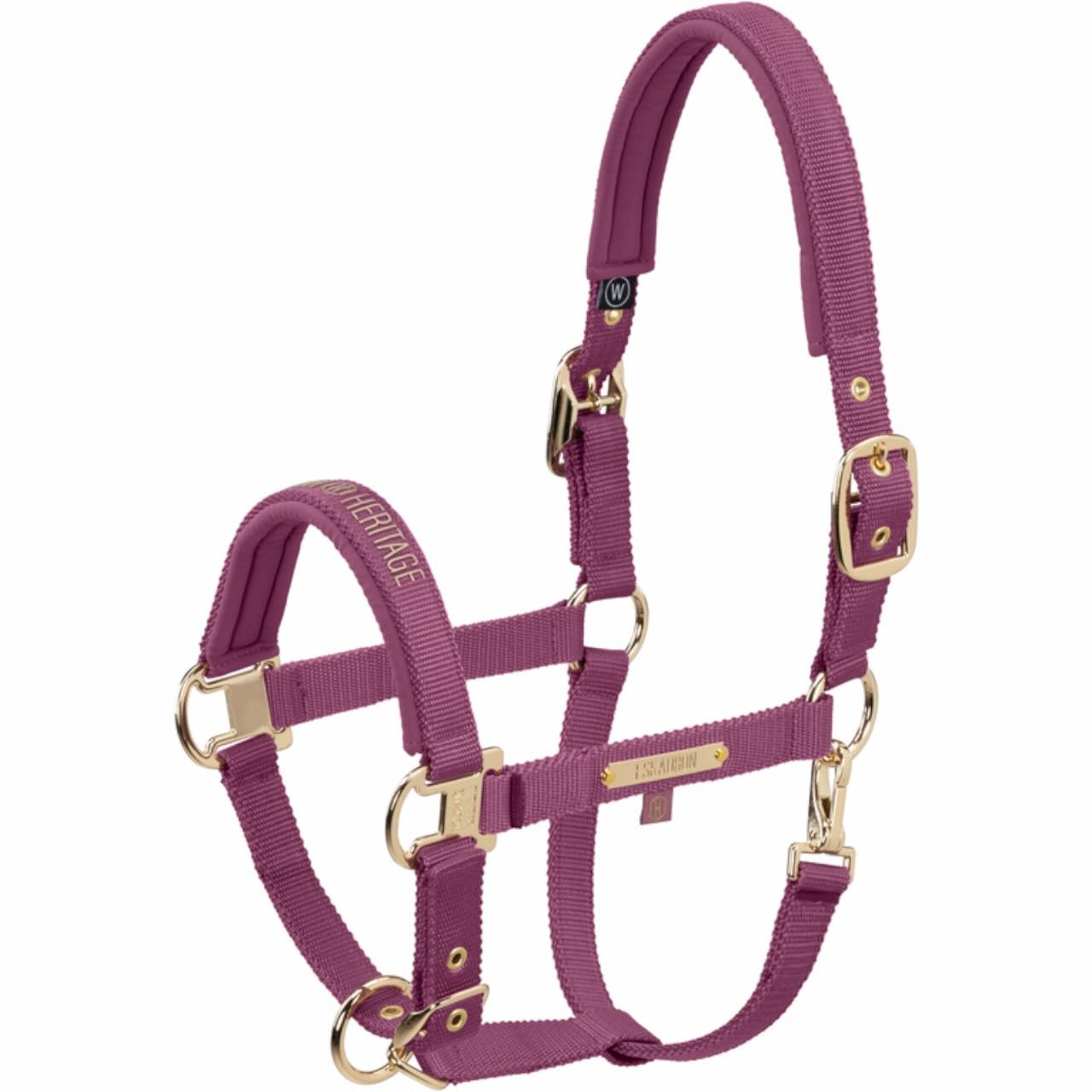 Halfter Girth Double Pin Heritage 2025 Stallhalfter